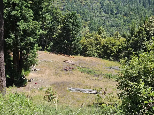 245 Twin Trees Ln, Garberville, CA 95542