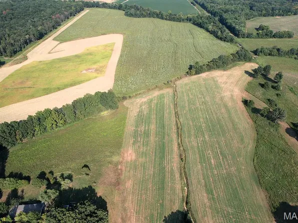 660 County Road 323, Poplar Bluff, MO 63901