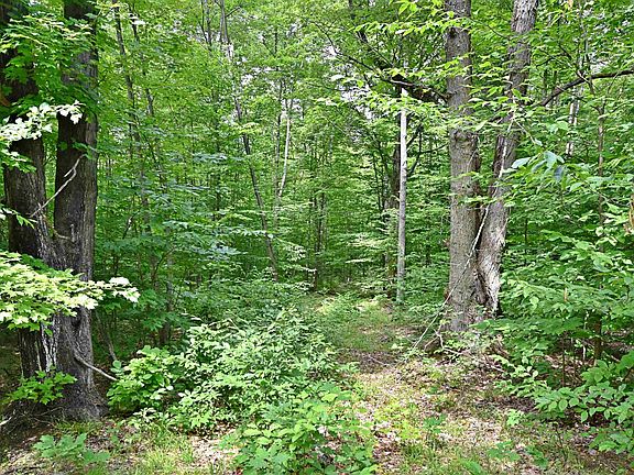 3rd image of Vl 0 Cherry Hill Rd