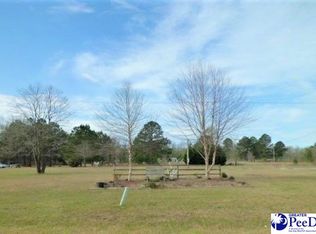 459 Annie Ln, Latta, SC 29565
