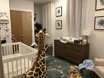 Rented by First Point Management