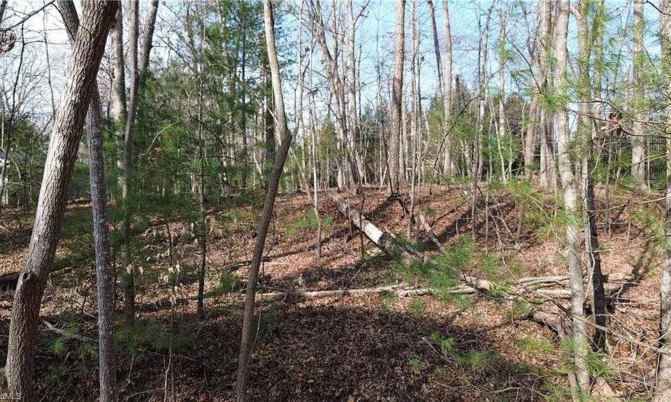 2nd image of Tdb Forest Hills Ln
