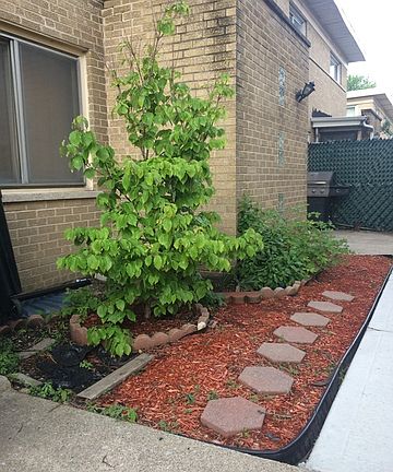 3rd image of 1066 Des Plaines Ave