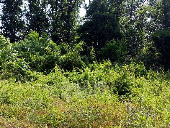 2nd image of Ponderosa Dr