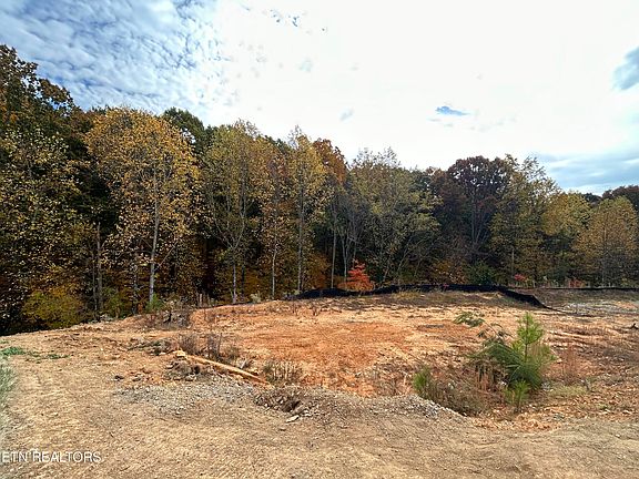 2nd image of 11904 Cordial Ln