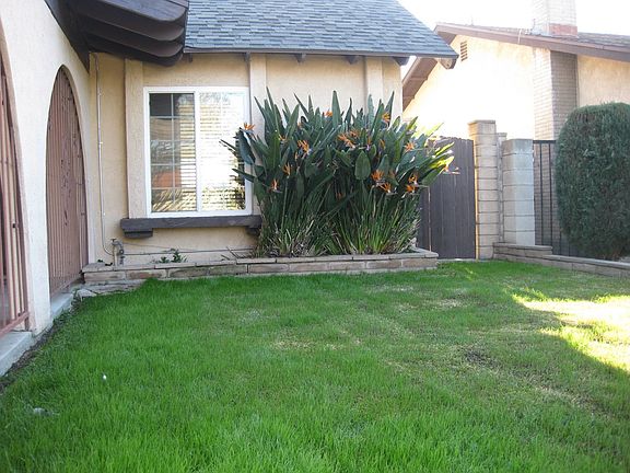 4th image of 4548 Halkett Ave