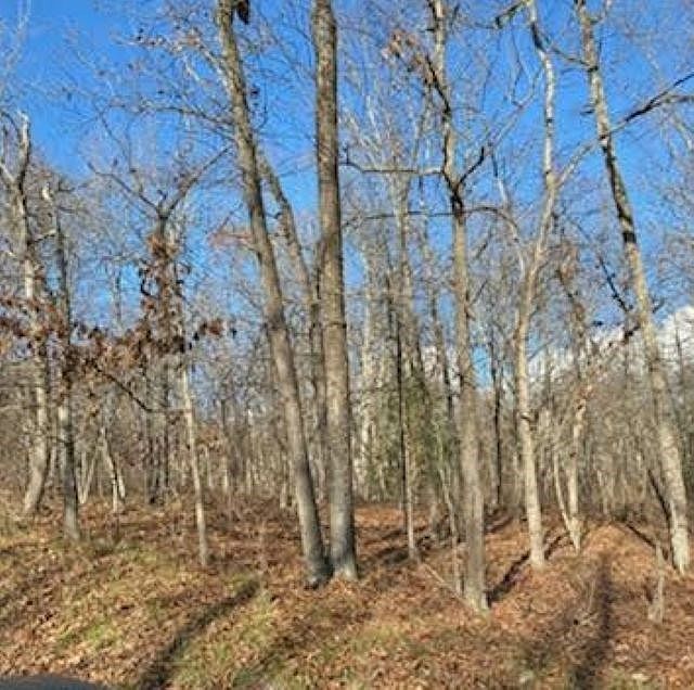 2nd image of 0 Rockymount Ln #47