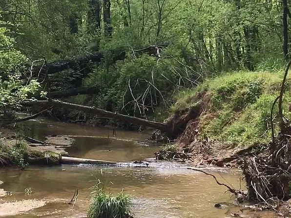 Westbrook St, Jonesville, NC 28642