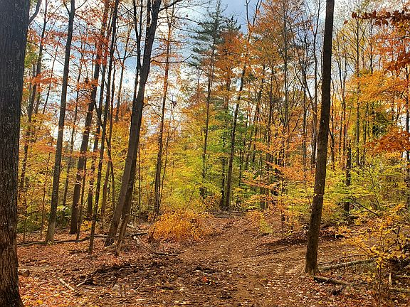 5th image of 0 N Old State Road 37