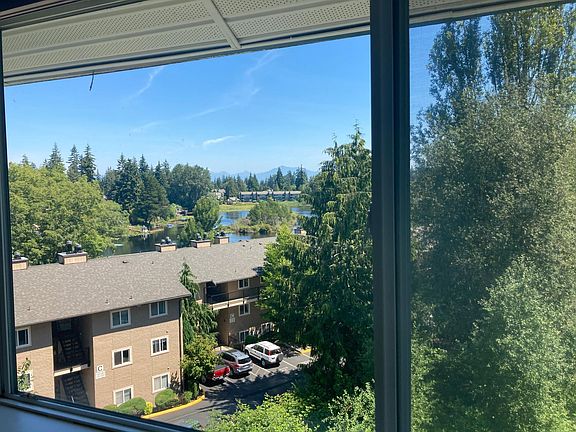 View from the window in Master bedroom