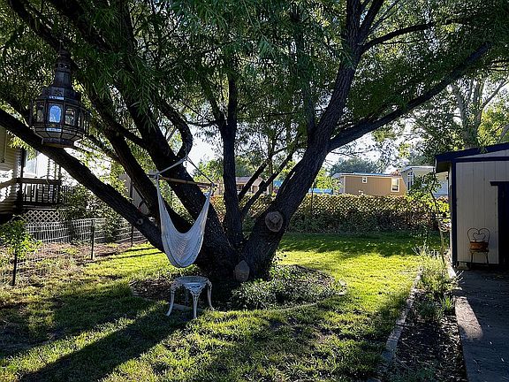 Front yard