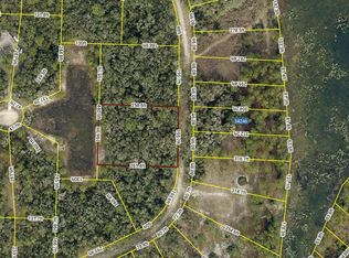 34245 Berryhill Dr LOT 3, Webster, FL 33597