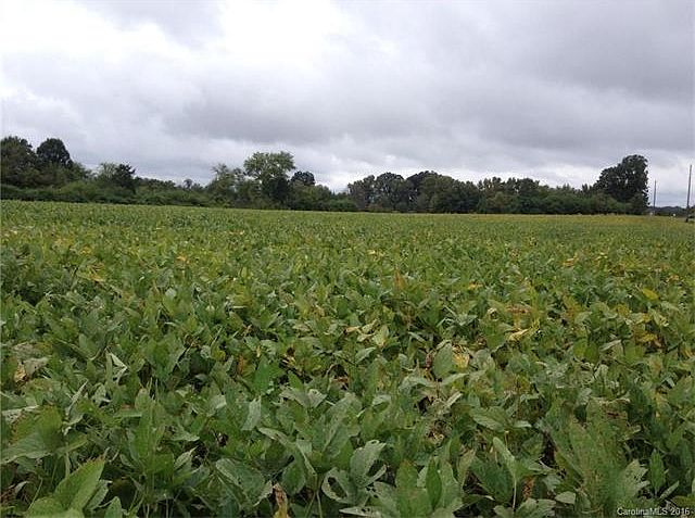 2nd image of 3517 Lanesboro Rd