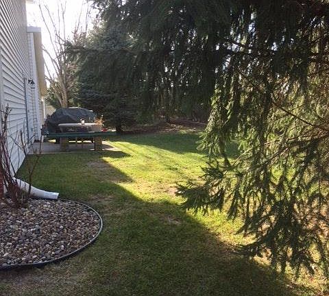 Side yard with cement patio