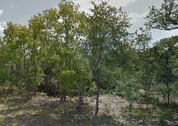 4th image of 7941 N Jamaica Dr