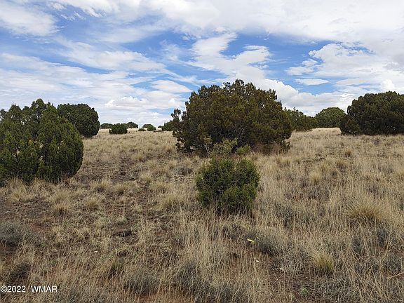 4th image of 11 County Road 5082 #5A