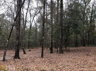 0 Spearhead Rd #16, Dublin, GA 31021