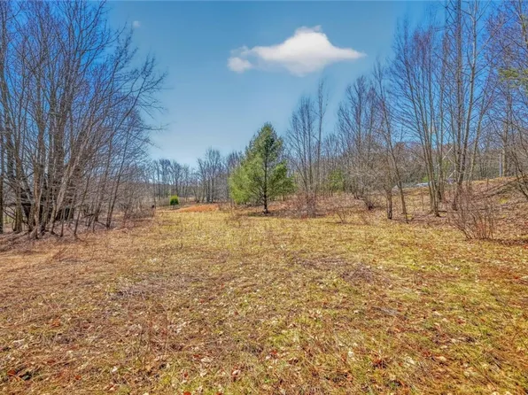 L25 Parker Schoolhouse Road Ext, Davenport, NY 13750