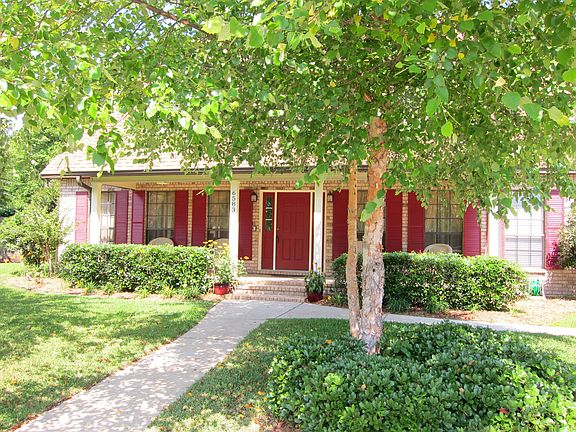 Front yard with birch trees
