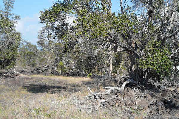1st image of Prince Kuhio Blvd Lot 4