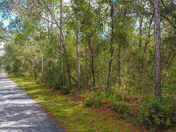 5th image of 3210 E Michael St