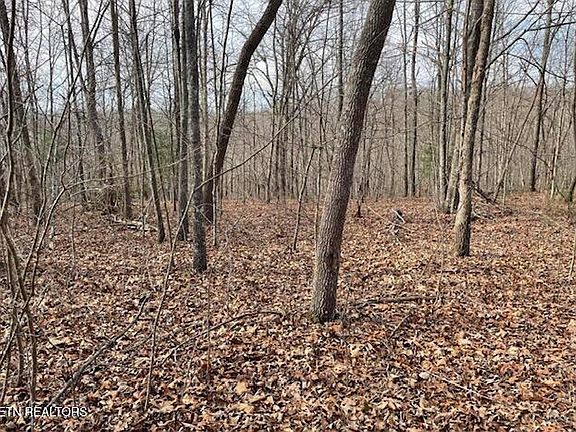4th image of Junior Cox Rd