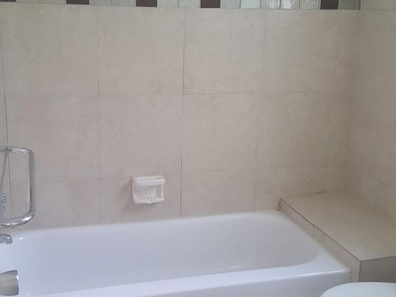 Master bathroom tub