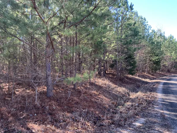 0 Bill Hendrix Rd, Bethel Springs, TN 38315