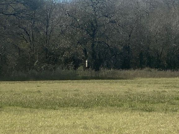 3rd image of County Road 209