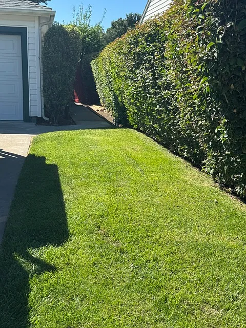 2 bed, 1010 sqft, $3,300 — Photo 2