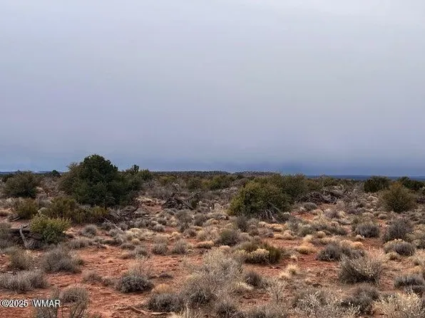 8698 Yaqui Ln, Snowflake, AZ 85937