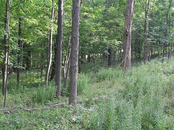 2nd image of 0 W Enfield Center Rd