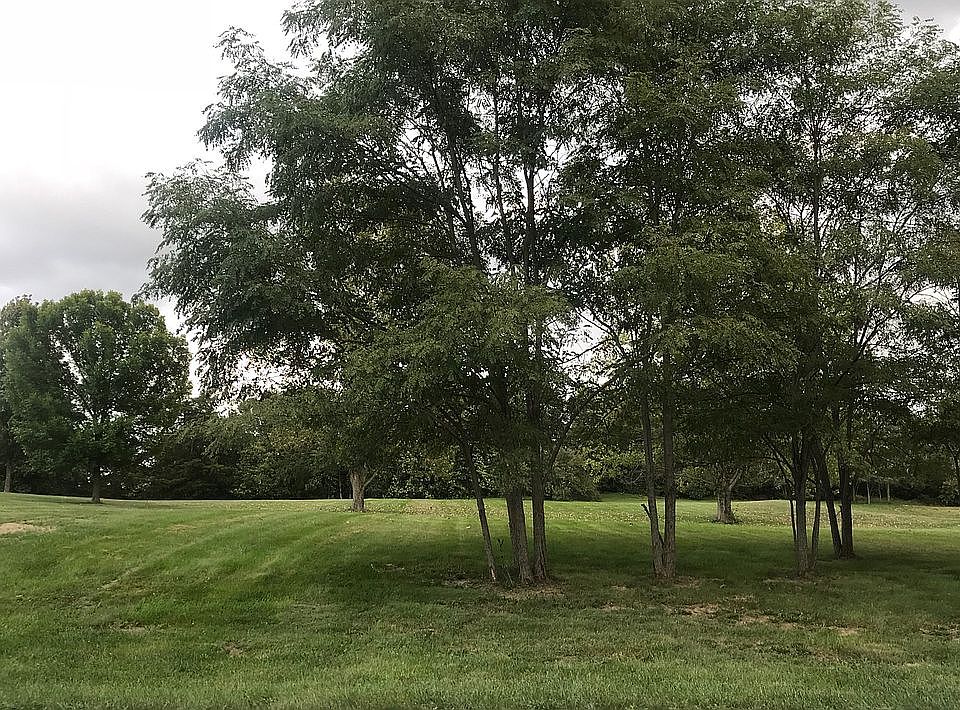 2nd image of 3721 Lancaster Ln