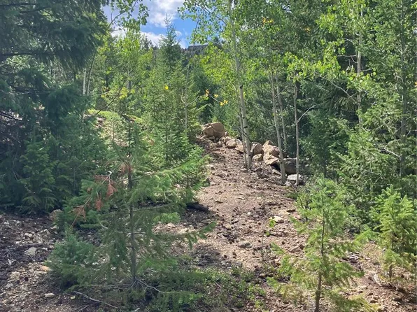 7 Miners Road, Black Hawk, CO 80422