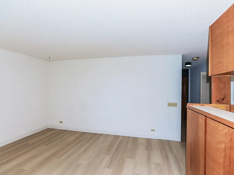1441 Piikoi St #307 — Photo 11