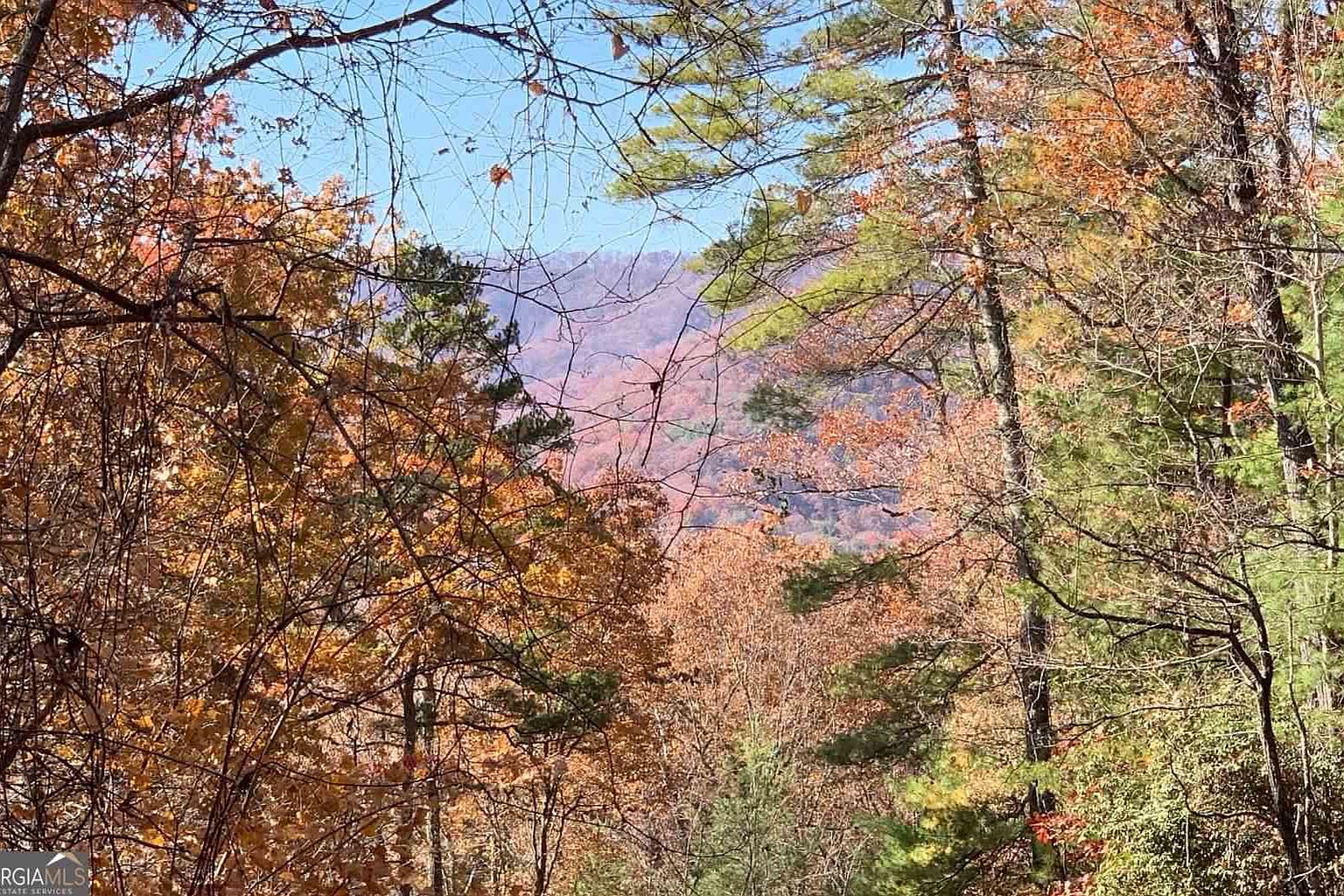 49 Fires Creek Rd, Hayesville, NC 28904 MLS 8701153 Zillow