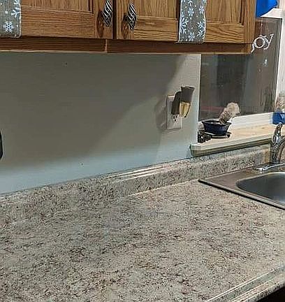 Kitchen counter and sink 