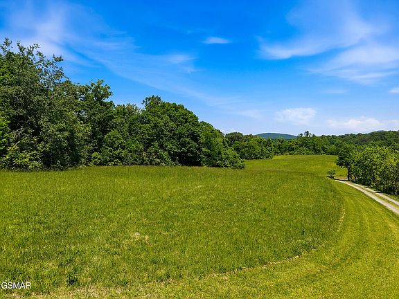 6th image of 1319 Licklog Hollow Rd