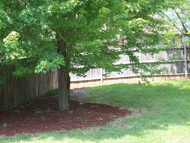 Looking from the patio to the right; the garden-ready yard c
