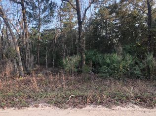 0 Mayo St, Interlachen, FL 32148