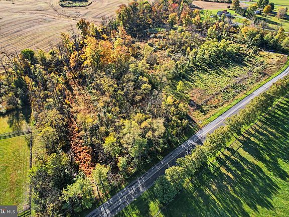 2nd image of 56 Bullfrog Rd