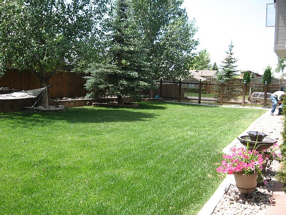 Backyard-2