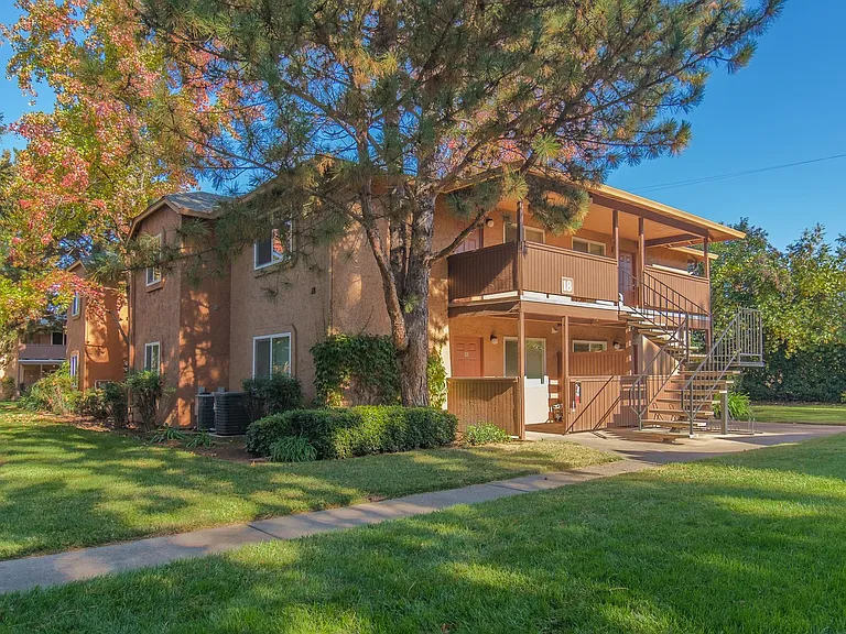 Pine Tree Apartments — Photo 33
