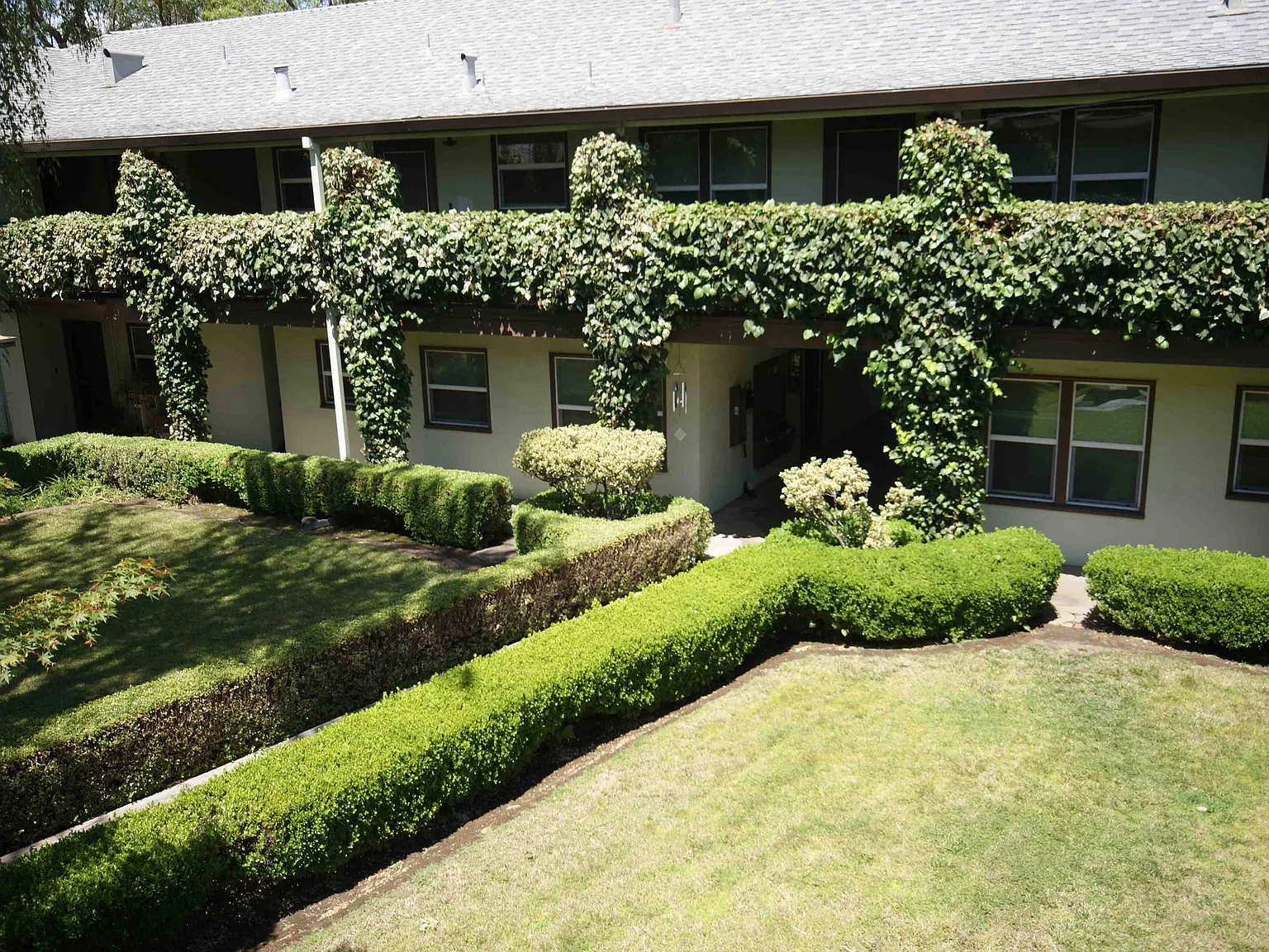 Courtyard at Pacific — Photo 2