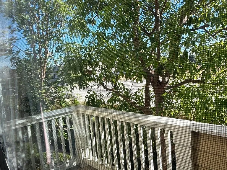 1421 Abelia — Photo 12