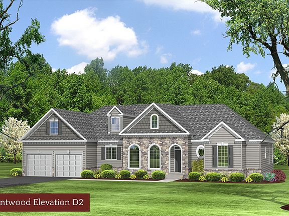 Elevation Elevation D2