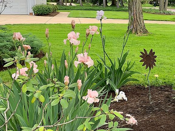 Front Flower Bed