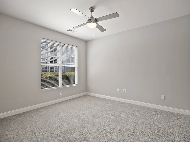 Plush Carpet