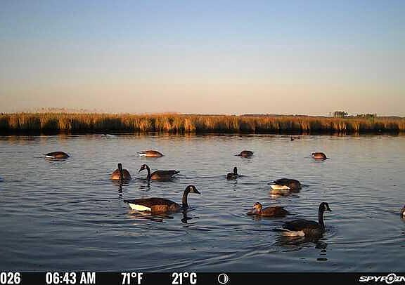 2nd image of 3241 Robbins Rd