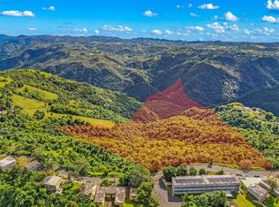 Carr 156 Km 20.1 Interior Bo Honduras, Barranquitas, PR 00794